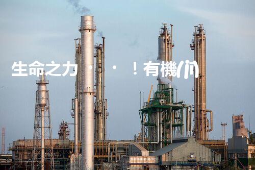生命之力！有機(jī)廢氣如何被微生物轉(zhuǎn)化為寶貴資源？